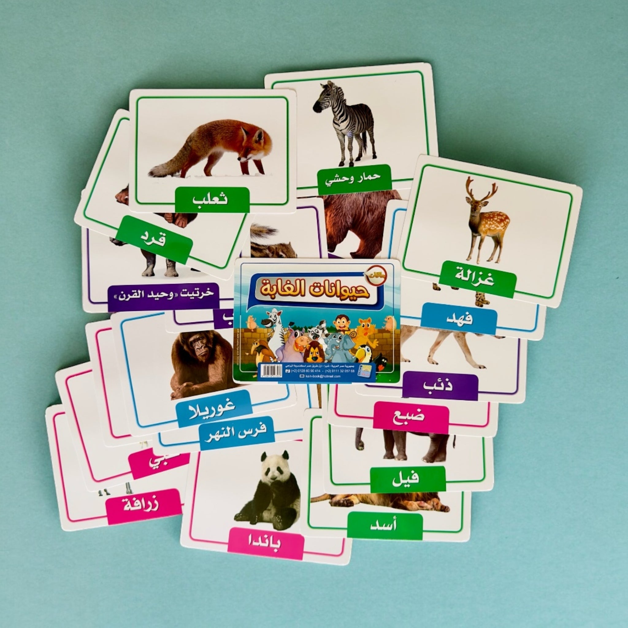 بطاقات حيوانات الغابة للأطفال