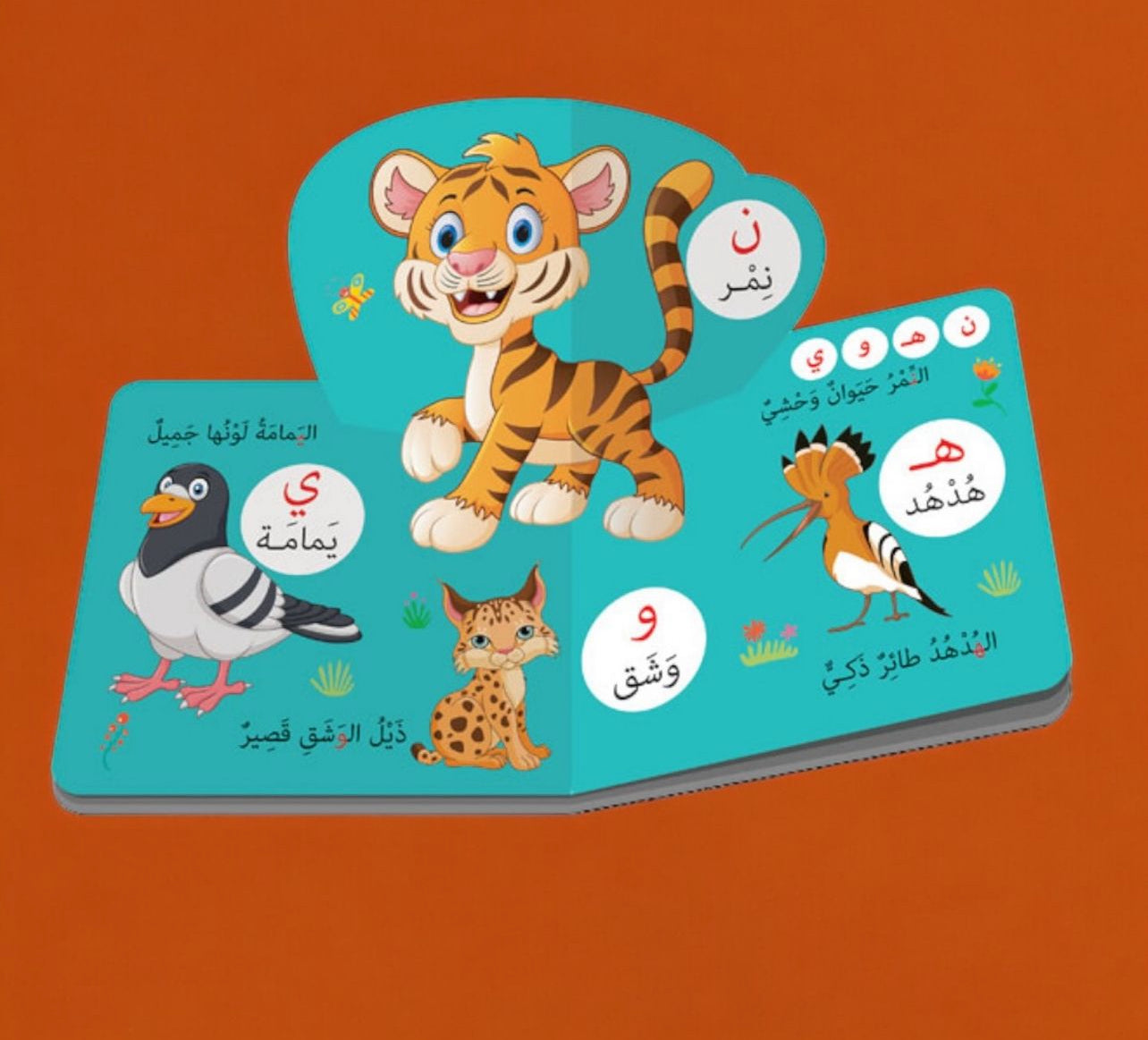 كتاب عالم الحروف ثلاثي الأبعاد