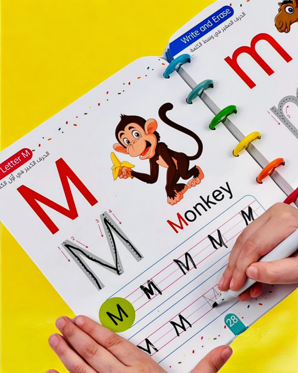 اكتب وامسح الحروف الإنجليزية مع قلم سبورة English Letters