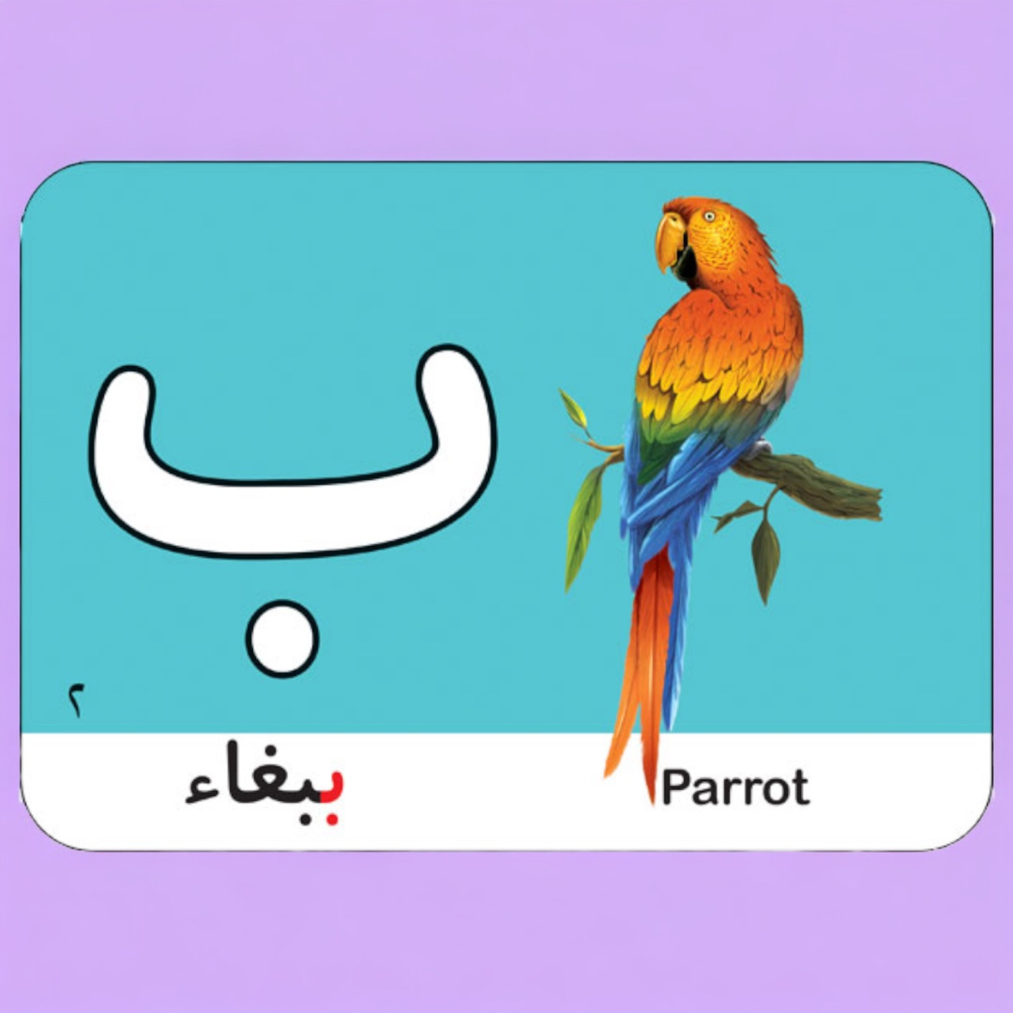 بطاقات قصص الحروف