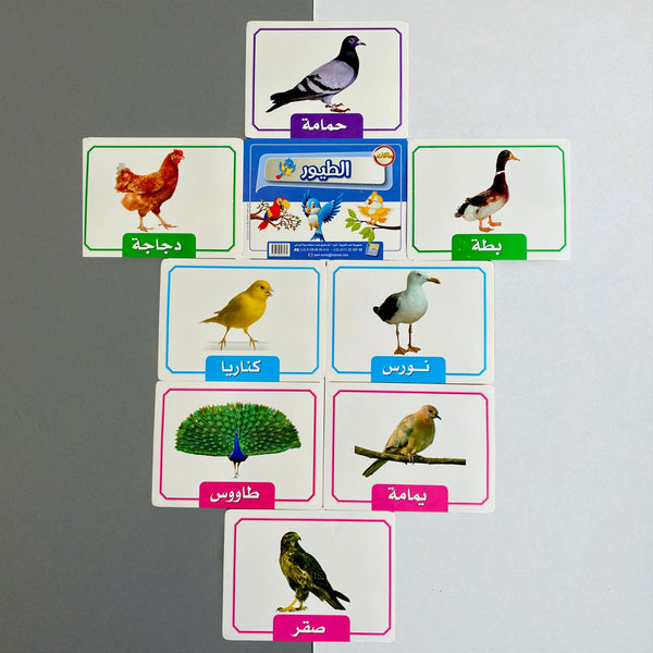 Educational cards with bird illustrations and names on a gray background