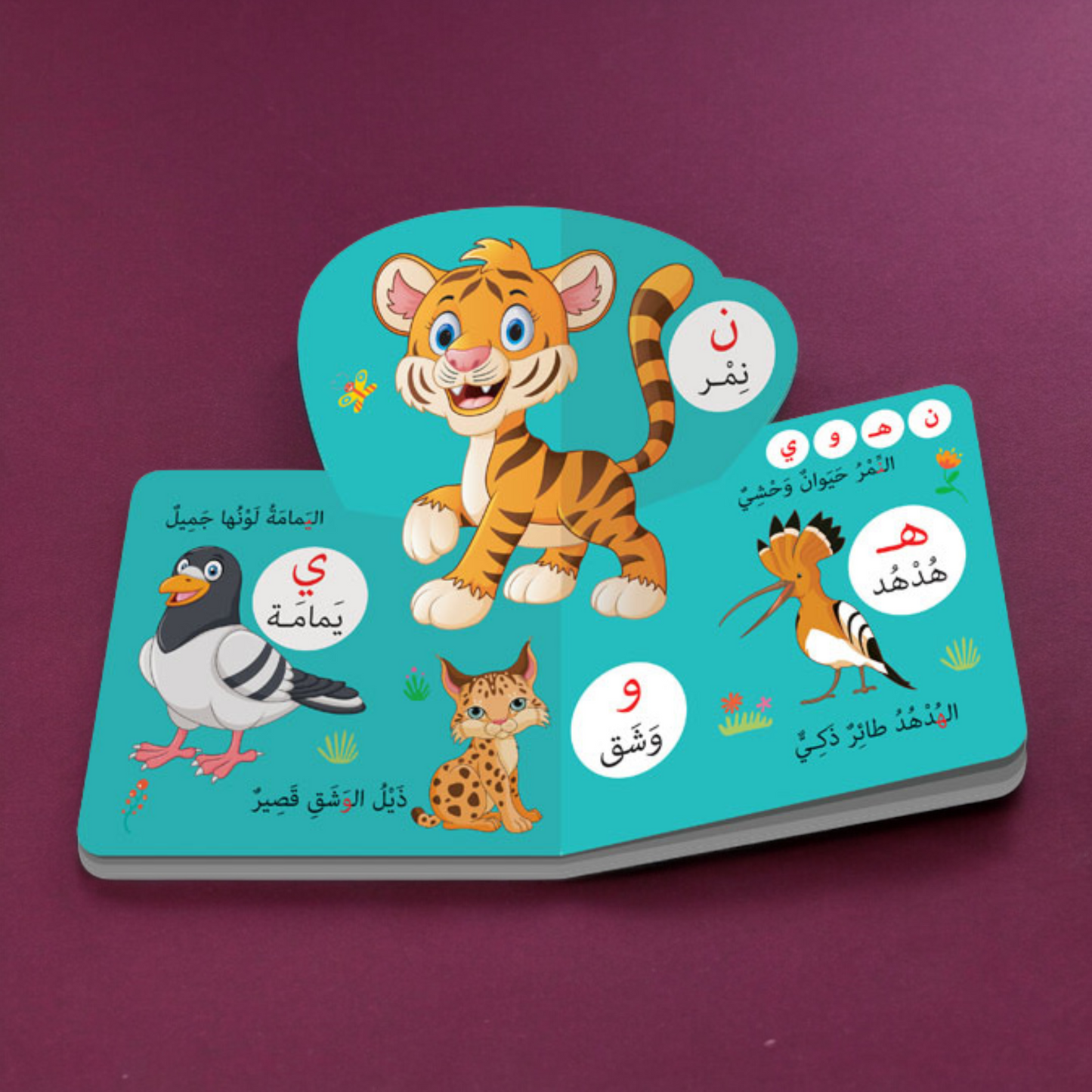 المجموعة التربوية  التعليمية