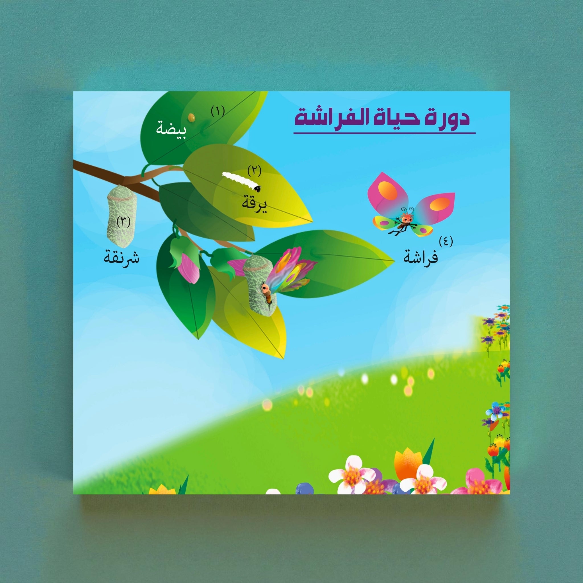 Educational poster about the life cycle of a butterfly with colorful illustration on a blue background.