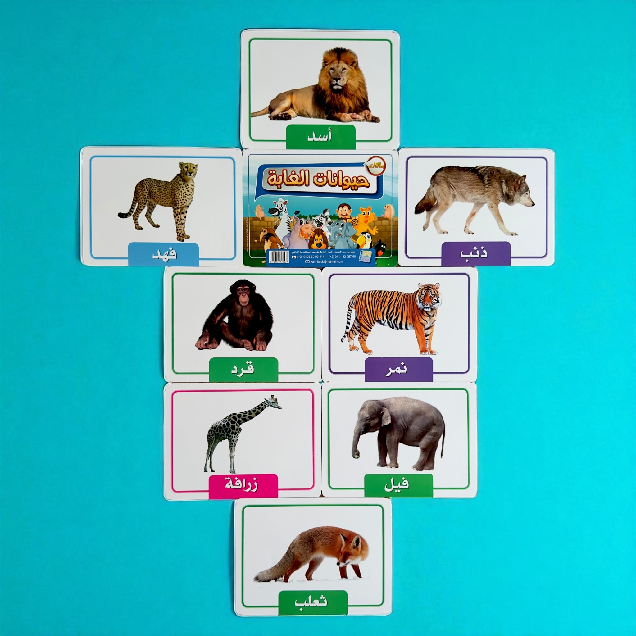 Educational cards with animals and their names on a blue background